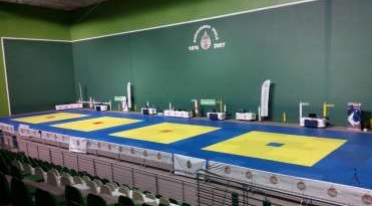 torneo judo jostaldi
