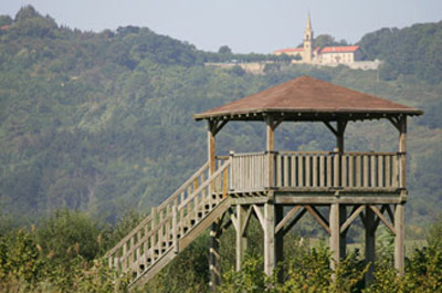 Observatorio de la Marisma