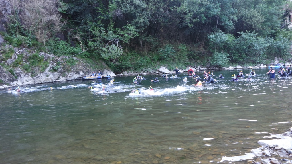 descenso aletas