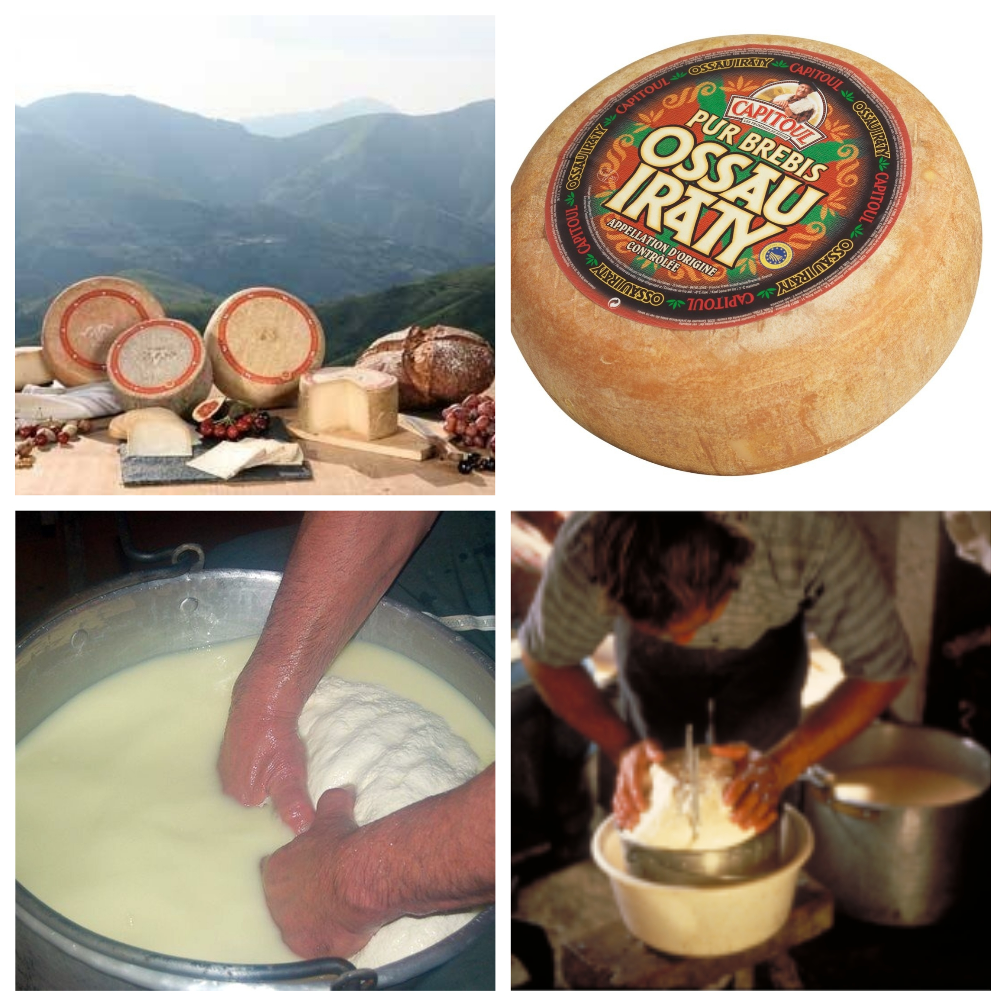 fabrication-fromage-JMArmagnague
