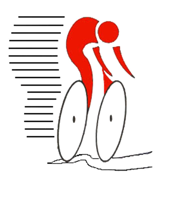 BIDASOA ITZULIA LOGOTIPO